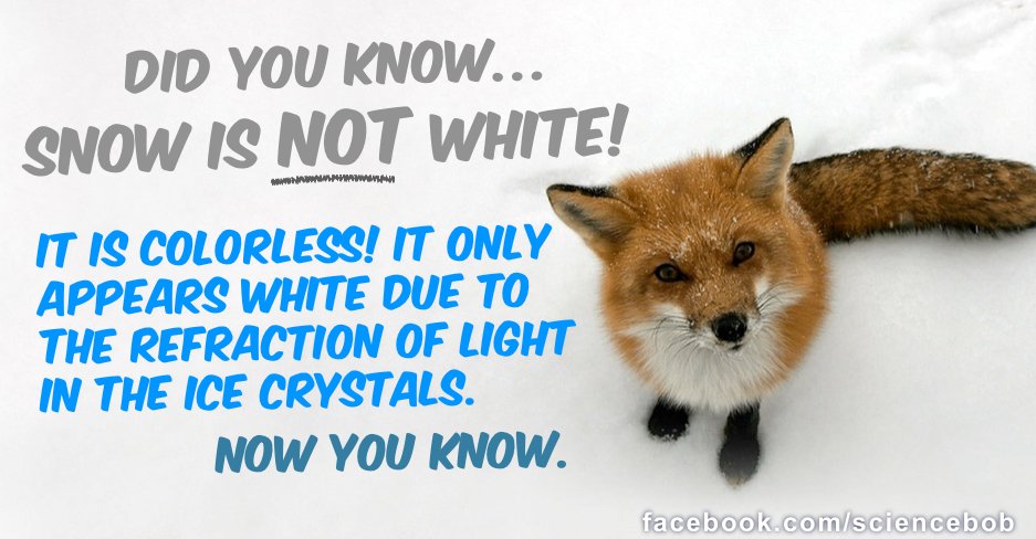 ScienceBob's tweet photo. Nope, snow is NOT white.. https://t.co/TOoaUvcQiZ