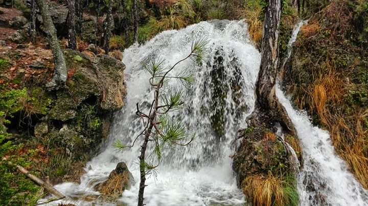 elhornico.com/CR-lugares-de-…
#ArroyodeGuazalamanco #PozoAlcón #ParqueNaturalSierrasdeCazorlaSegurayLasVillas
