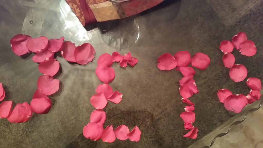 Evelynchris0's tweet photo. #jetup365 of course they r rose petals...I'm passionate!!! Lol https://t.co/dQjYdSohDY