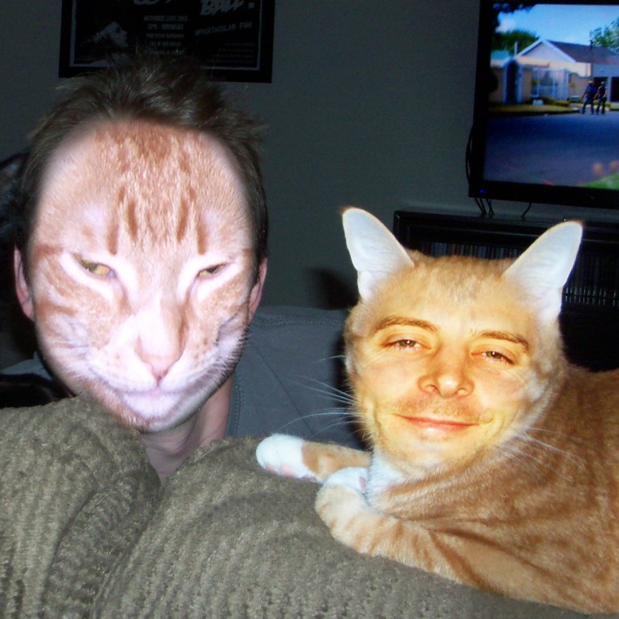 12 Cat Face Swaps