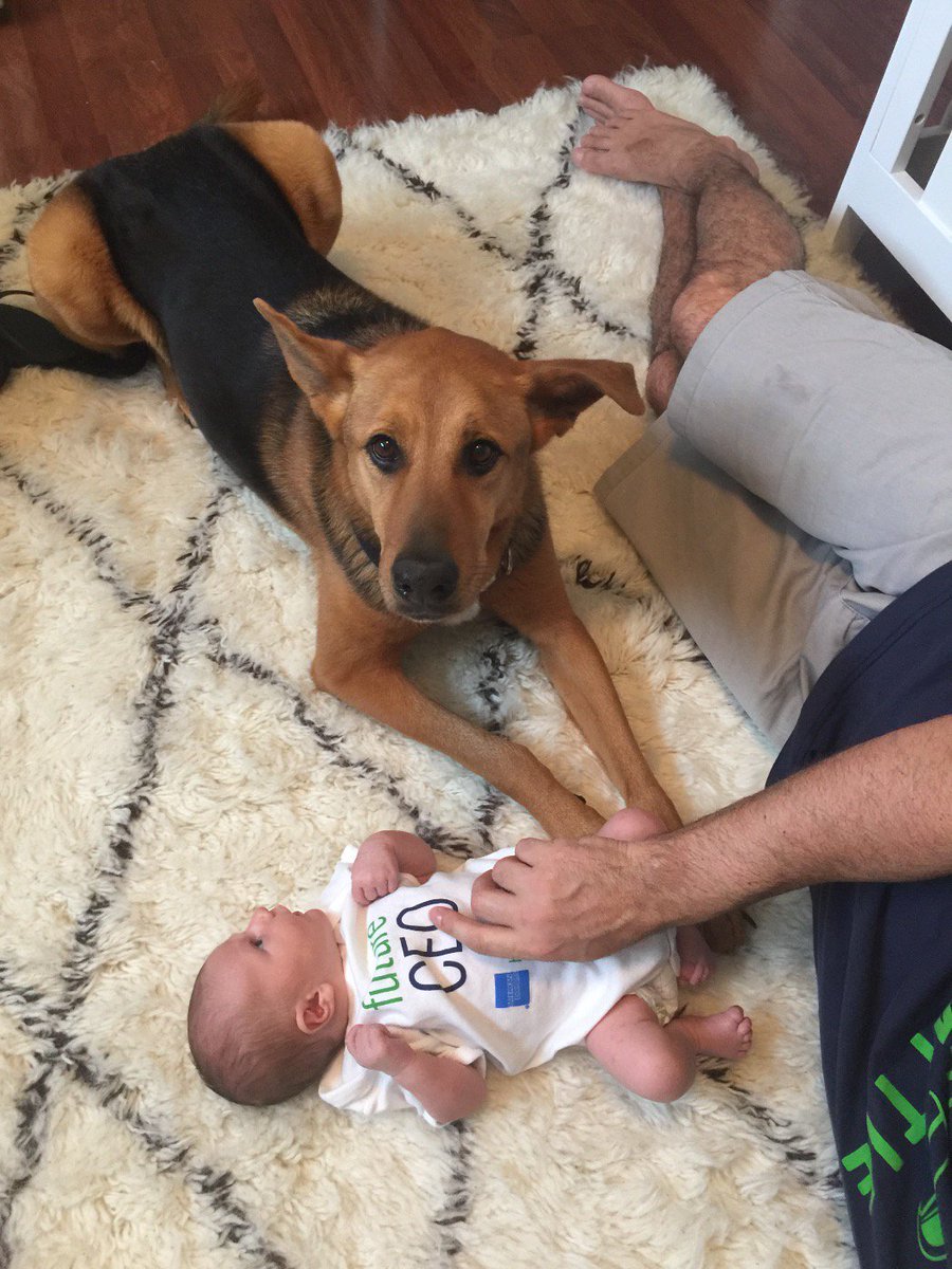 Ccap57's tweet photo. She hasn't eaten him yet which is good https://t.co/itrj9Z1keq