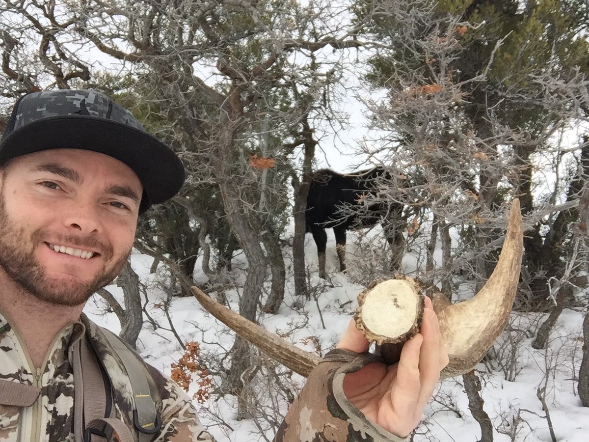 Eric_Chesser_'s tweet photo. Hey moose you missing something? #HUSHLIFE https://t.co/mRfZGDdDSf