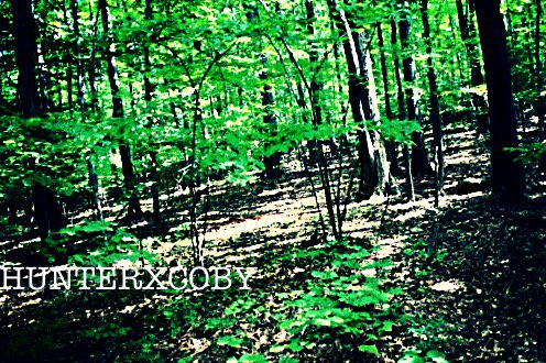 CobyKnight's tweet photo. Follow me on Facebook
and instagram: @coshknight https://t.co/DJQojSanlx