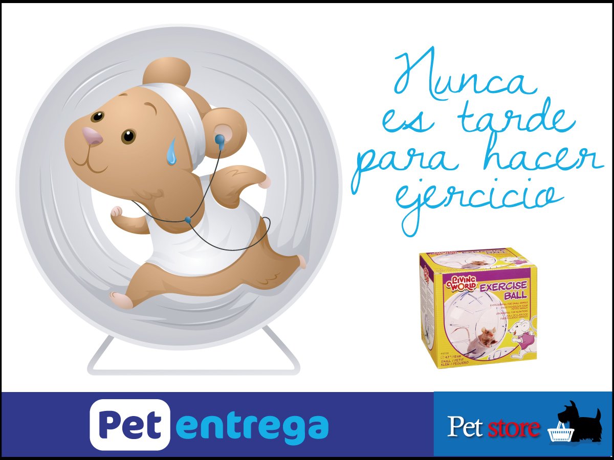 PetEntrega's tweet photo. ¡Nunca es tarde para empezar a hacer ejercicio, compra una rueda para tu hamster!
Ingresa a https://t.co/BM4ECXjKUR https://t.co/Afgrcg8yP2