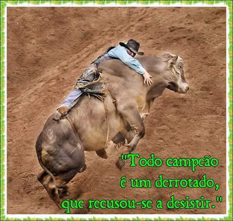 8570a14ac4394e2's tweet photo. A vida segue!!! Pau na máquina...
#TopDez imóveis https://t.co/mpG4aFXezg