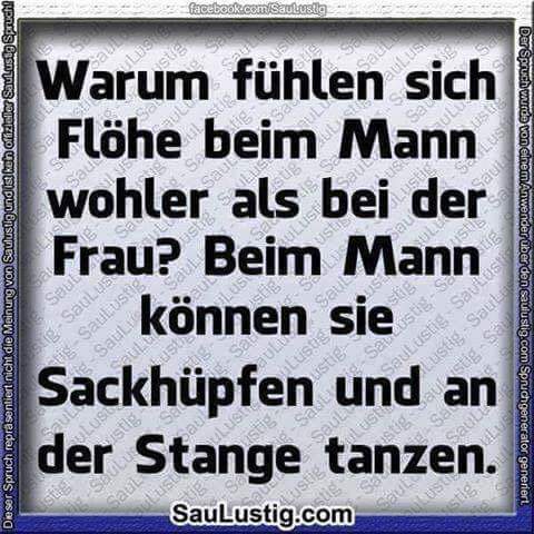 Download Spruch uvb Desktop Wallpaper Free Spruch Uvb