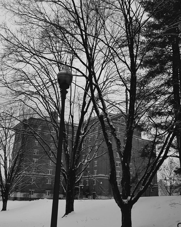 CCSU's tweet photo. Gorgeous pic! #StudentPic #CampusScenes #StudentsPOV https://t.co/gDs8BNTNQl