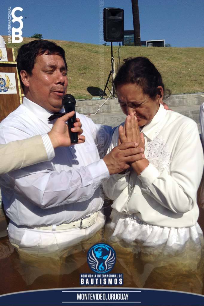 BereaInter's tweet photo. Ceremonia Internacional de Bautismos

Toluca, Estado de México

#LdmBautismos
#SoyLuzdelMundo 
#BereaInternacional https://t.co/kgDiZxu4Mg
