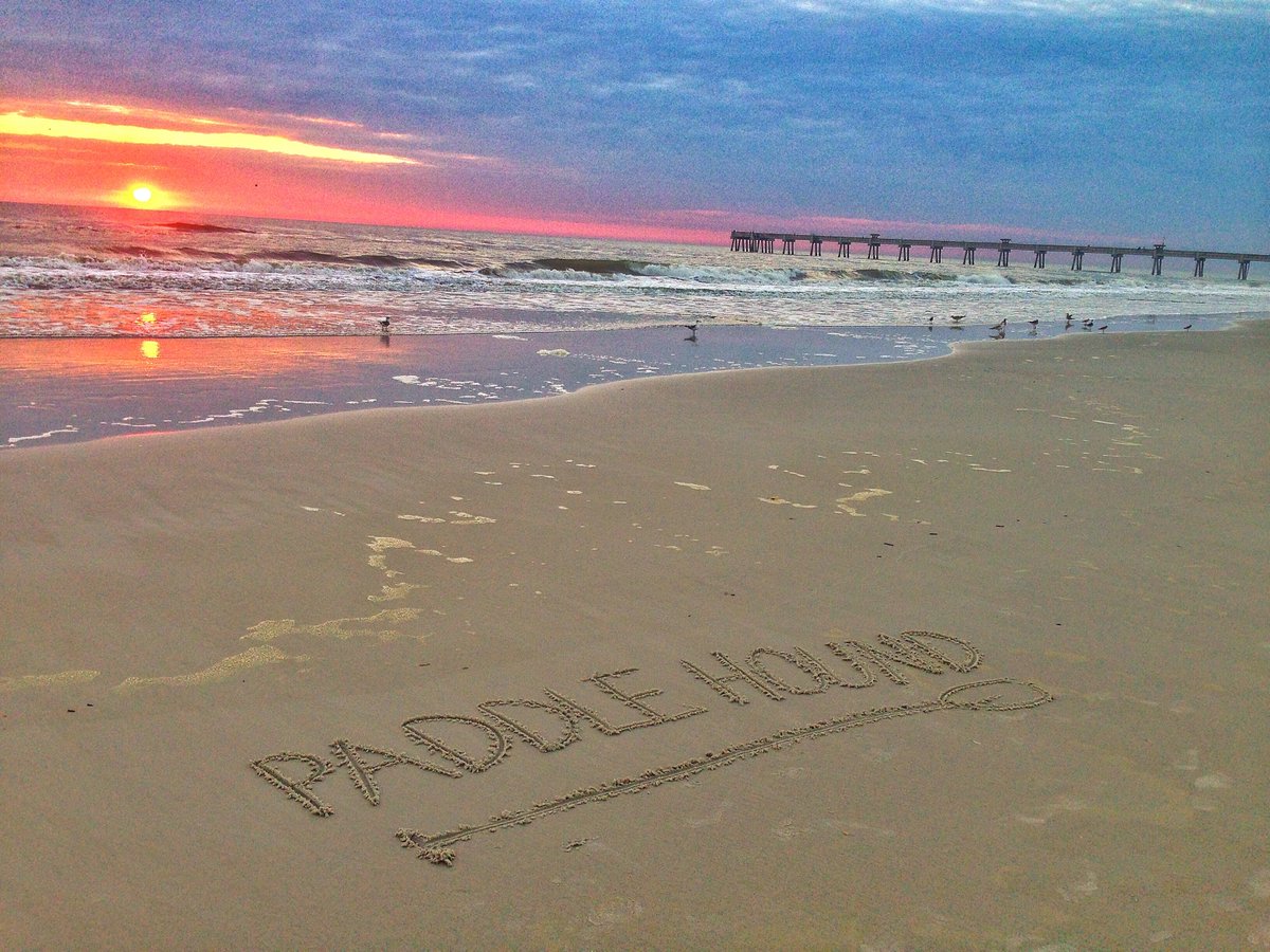 Paddle Hound tweet media