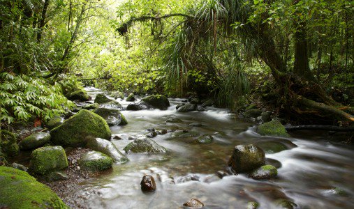 sailthru's tweet image. The Downstream Benefits of Predictive Analytics: sthru.co/1SKnHWW #predictivetech #marketing