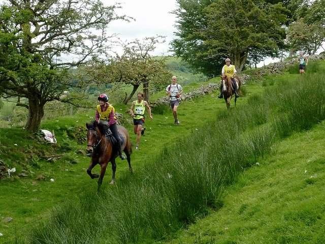 TodosRunners's tweet photo. El #running es demasiado mainstream, ¡voy a correr contra un caballo! #RunnerMania https://t.co/64dnsjUbVd https://t.co/izBuWKUKk6