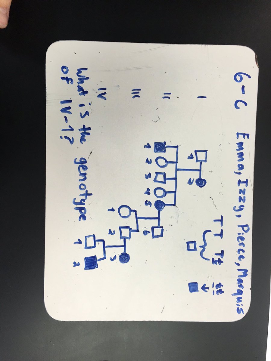 emmah_lhs's tweet photo. What is IV-1 genotype for hitch hikers thumb? #lhsgenetics #ballhr6 @msstern_lhs @msball_lhs https://t.co/hyqY3wTVmx