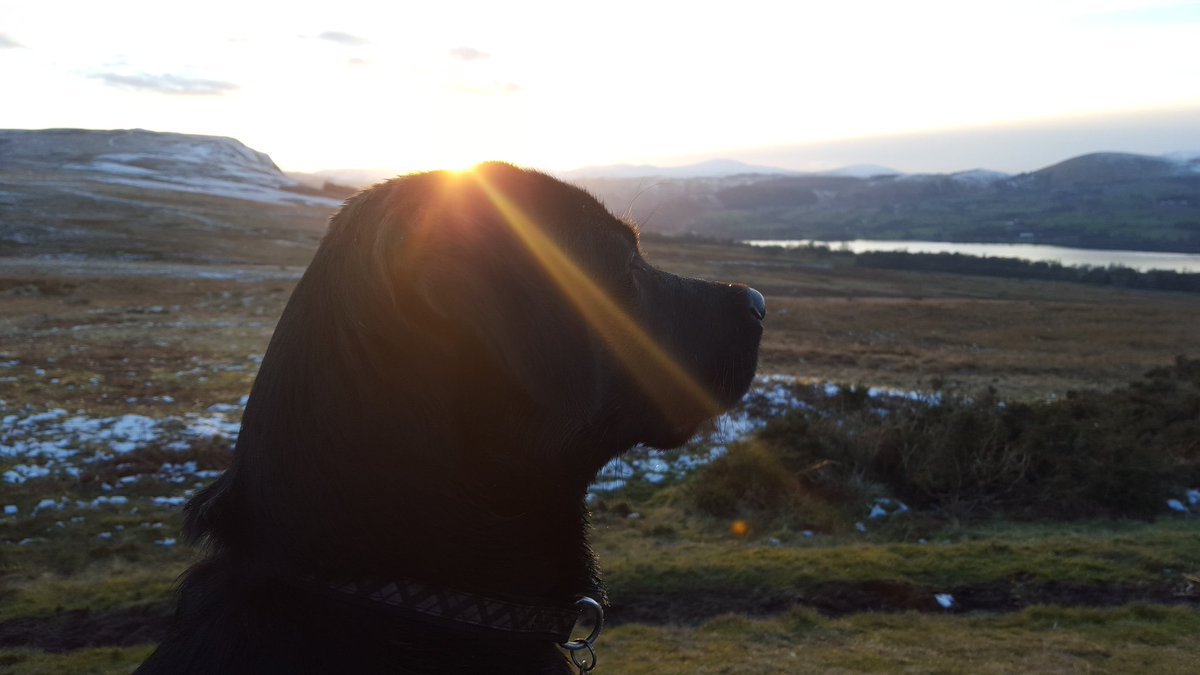 DramLakelandLab's tweet photo. Over looking #Ullswater at #SunSet #NotJustLakes https://t.co/ASffwpJ2G9