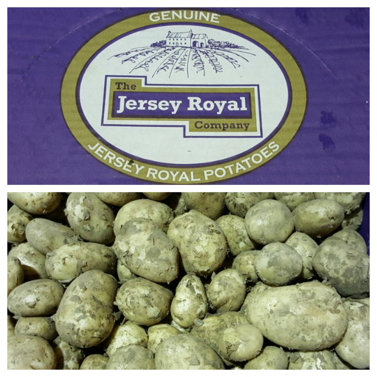 EBrettellFV's tweet photo. Spring is on its way...! First of the season #JerseyRoyals new potatoes on sale in #Sherborne #Dorset tomorrow! https://t.co/RWNqHLrPzQ