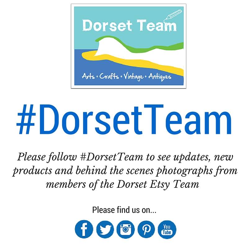 Dorset Team tweet media