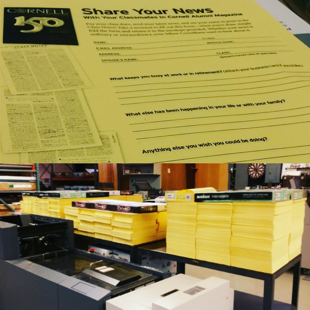 CornellPrint's tweet photo. Hey #Cornell #alumni! Ever wonder where those news forms for Reunion come from? Here's 176K of them! #weprintthat https://t.co/qboMGDWI9m
