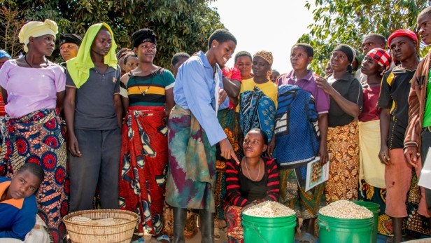 BiovIntCIAT_esp's tweet photo. Adapting to #ClimateChange: Smallholder farmers feeding the world. https://t.co/0FeCepDEkq Via @devex @USAID https://t.co/2pESsz2Cx9