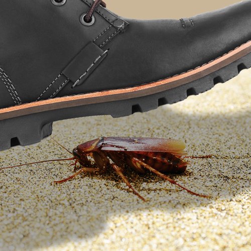 Have you ever wondered why cockroaches are so hard to squish? bit.ly/1ojJ4W1 #PestControl