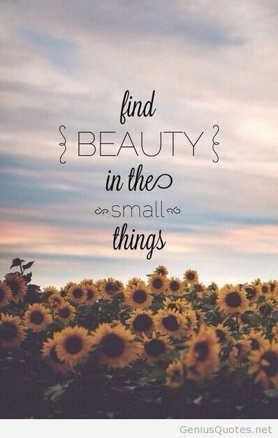 #acneproblems  #skincare #naturalskincare #acne #beauty https://t.co/lxXkIq9YO0<a href="/tag/acneproblems"class="tags">#acneproblems</a><a href="/tag/skincare"class="tags">#skincare</a><a href="/tag/naturalskincare"class="tags">#naturalskincare</a><a href="/tag/acne"class="tags">#acne</a><a href="/tag/beauty"class="tags"><span>#beauty</span></a>