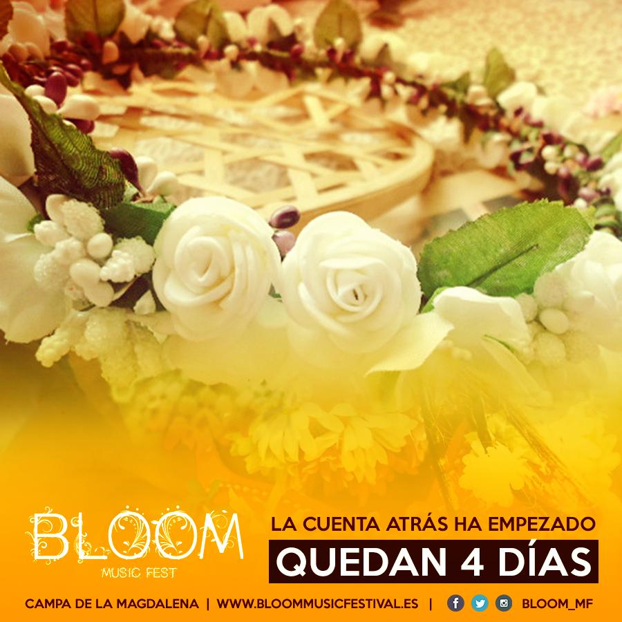 Bloom Music Festival tweet media