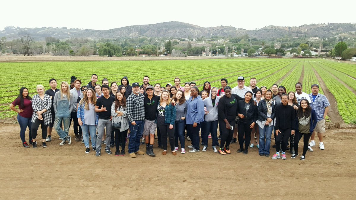Scarborough Farm Tour with #tendergreens #tenderwhat #tendergreens