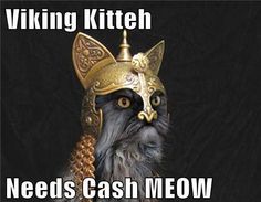 RT: Viking Kitteh raids SameDayMoneyLoan.com do you?