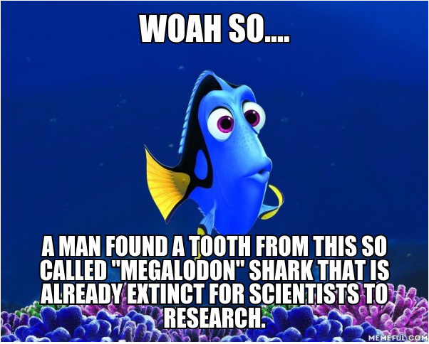 RISD_KKok's tweet photo. Summary Meme #rjhsummary https://t.co/zoglJ4SXPe