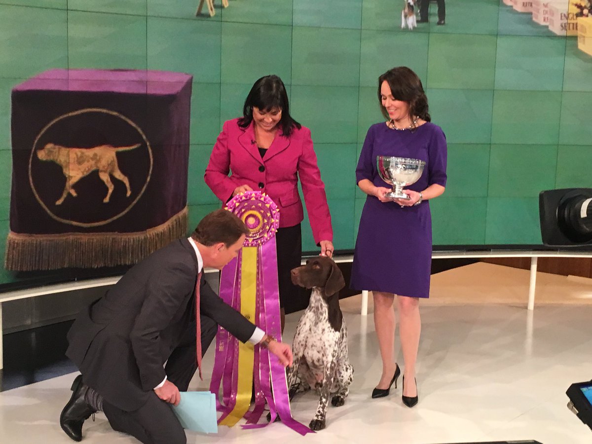 WKCDOGS's tweet photo. CJ pays @ShepNewsTeam a visit at @FoxNews! #WKCDogShow https://t.co/PXbv32ii1Q