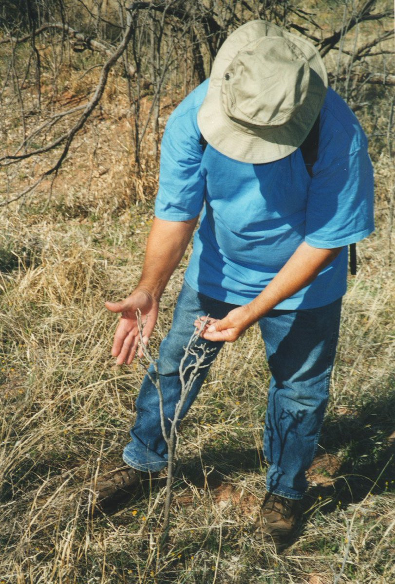 Dr. Ken Nordberg tweet media