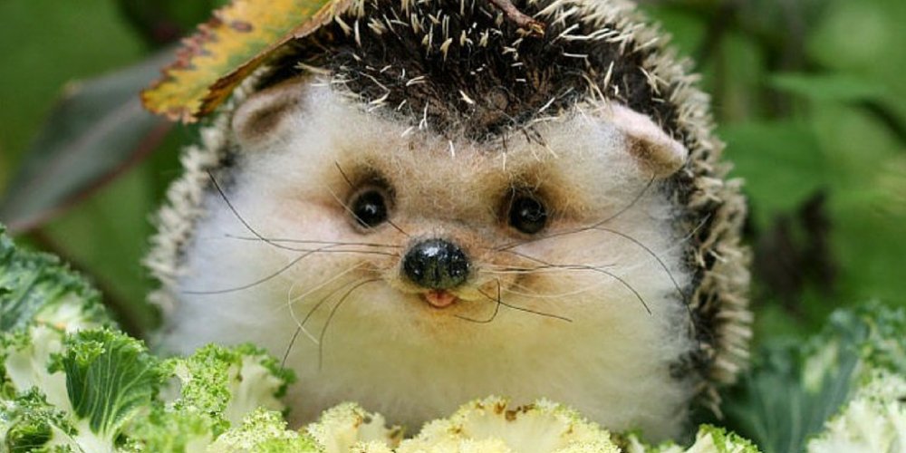 Get_Coupons_Now's tweet photo. https://t.co/GtrRjXCdef - 27 Images of Baby Animals that Will Make Your Heart Melt #toocute https://t.co/M8nn32HSqZ