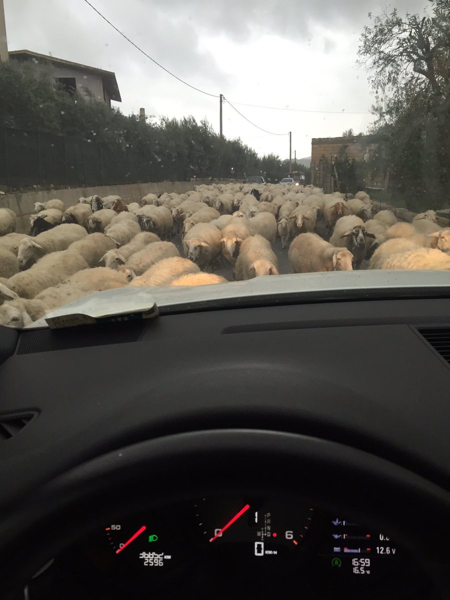 Giuseppe Mascara tweet media