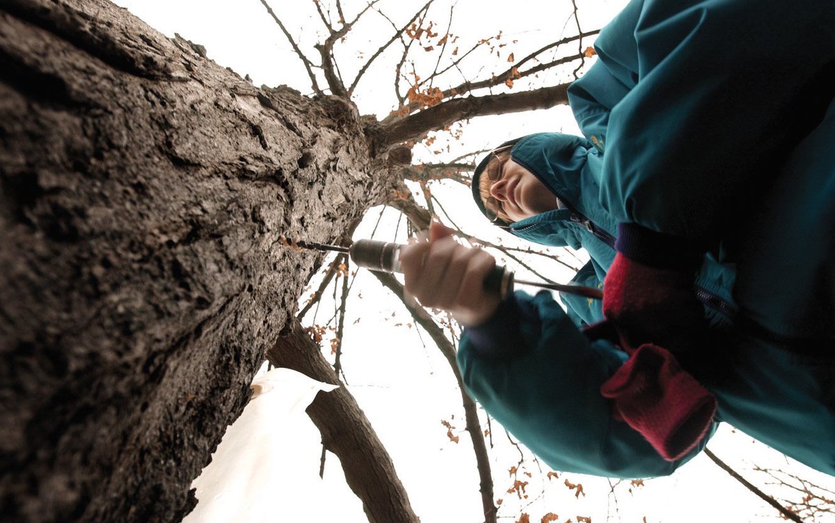 AdCrableLNP's tweet photo. Maple sugaring and other outdoors events around Lancaster County for next week. https://t.co/M4ZJOMwlqC https://t.co/5ThUl1oUcq