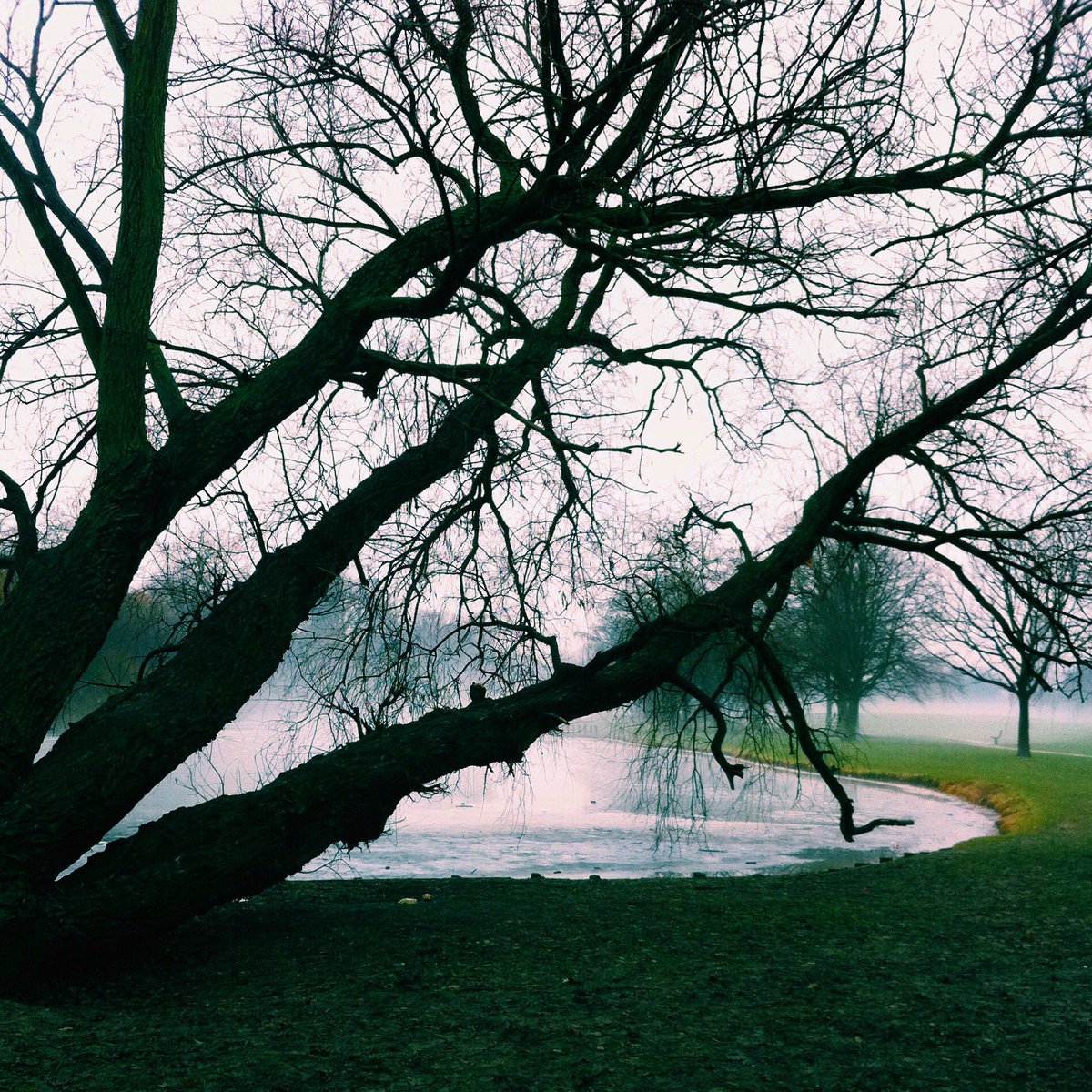 ExploringHull's tweet image. Old shot of #EastPark #Hull 😀