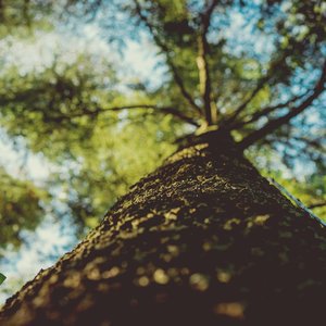 HIGH !! With @johnrfullbright <a href="/3girlrhumba/">Three Girl Rhumba</a> <a href="/copalotus/">Copa Lotus</a> <a href="/SavantsofSoul/">The Savants</a> <a href="/TheStyletones/">The Styletones</a> tapeonme.com/#!/high