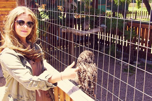 JustTheStudy's tweet image. || Happy birthday to this queen. &amp;lt;3