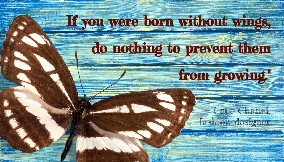 marypatspeaks's tweet image. "If you were born without wings, do nothing to prevent them from growing."
@iCoco_Chanel