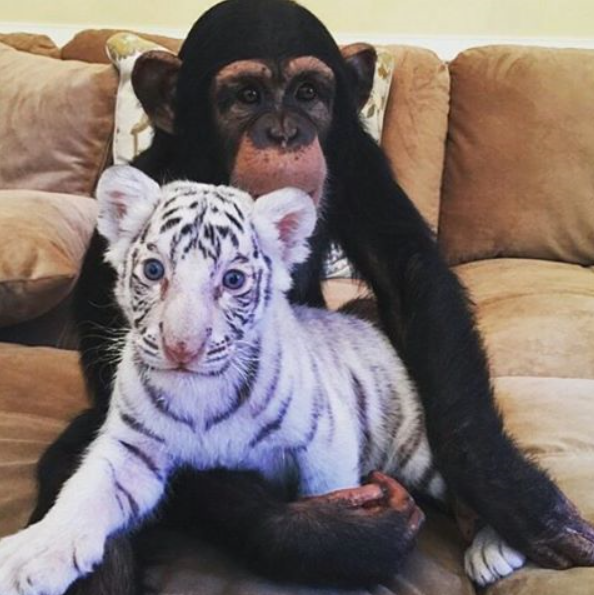 A real friend is one who walks in when the rest of the world walks out.– Walter Winchell