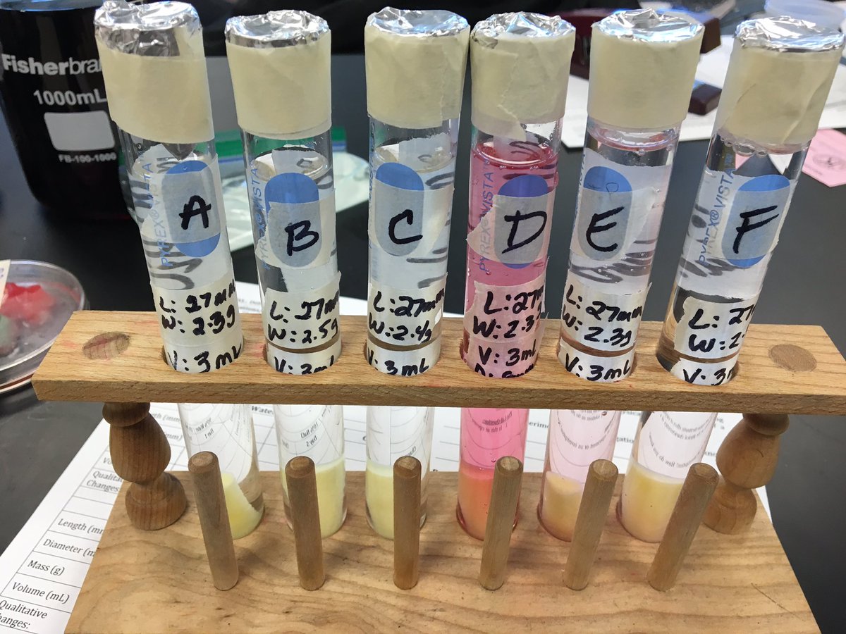 clayton_biology's tweet photo. Why not? Let's see what this Neuro sonic drink does vs water! #potatoosmosis lab @atmsenior @Dgangeri #classdata https://t.co/juZillyv0e