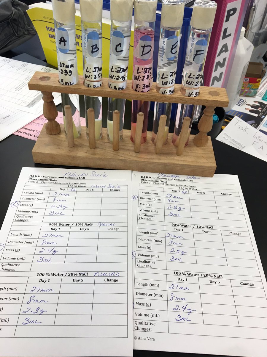 clayton_biology's tweet photo. Why not? Let's see what this Neuro sonic drink does vs water! #potatoosmosis lab @atmsenior @Dgangeri #classdata https://t.co/juZillyv0e