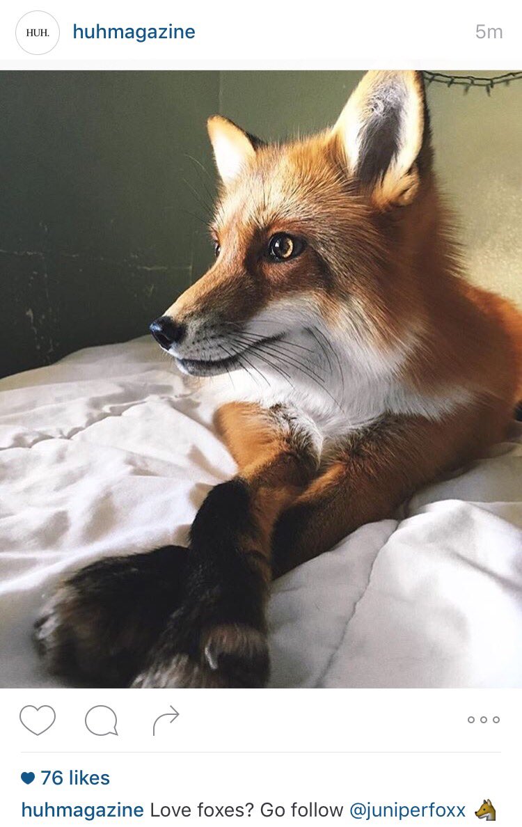 janlammens's tweet photo. Volgens mij heeft Instagram door waar ik werk. #QuickBrownFoxes https://t.co/dg2M6reF4P