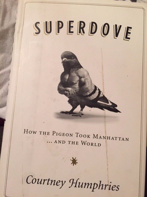 Bonnies_Books's tweet photo. @The_Pigeon Glad to see you are finally getting the respect you deserve https://t.co/sv7ufnIUjn