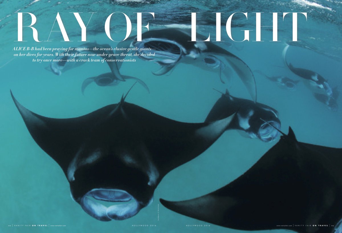 MantaTrust's tweet photo. The fabulous Maldivian #Mantarays featured in @VanityFair #OnTravel supplement! @Alice__BB @FSMaldives #fsexplorer https://t.co/FbzbKIMOsR