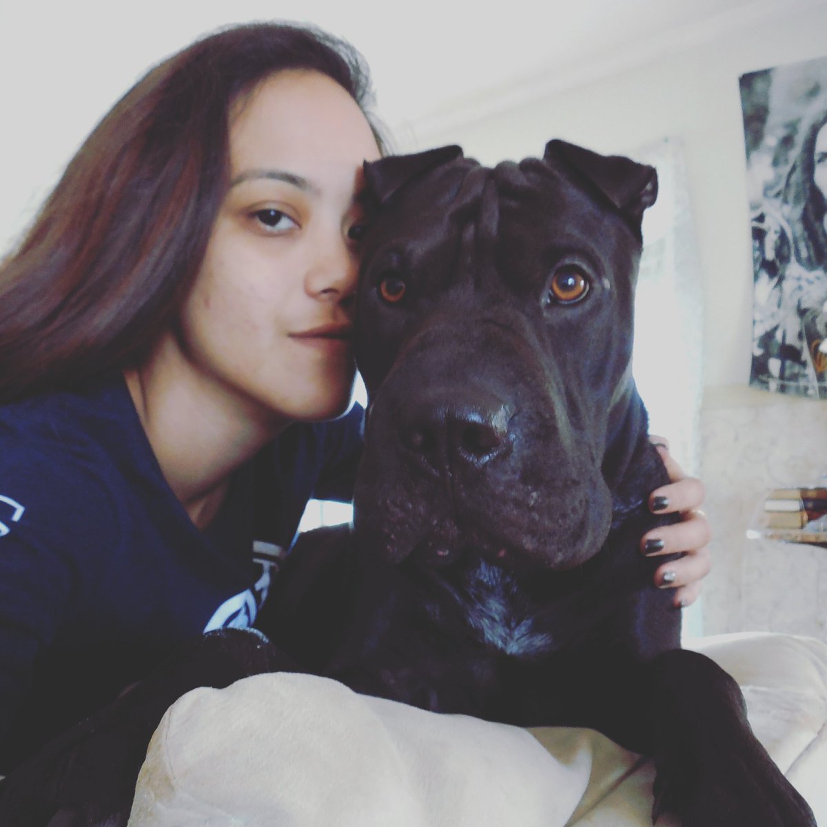 chelsea_malubay's tweet photo. #mybaby #sharpull #dogsoftwitter #Nikon https://t.co/4KbXW1v5id