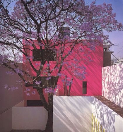 YvyCL's tweet photo. @_PenelopeHN JardineríaII-16A https://t.co/2j817AXUHv