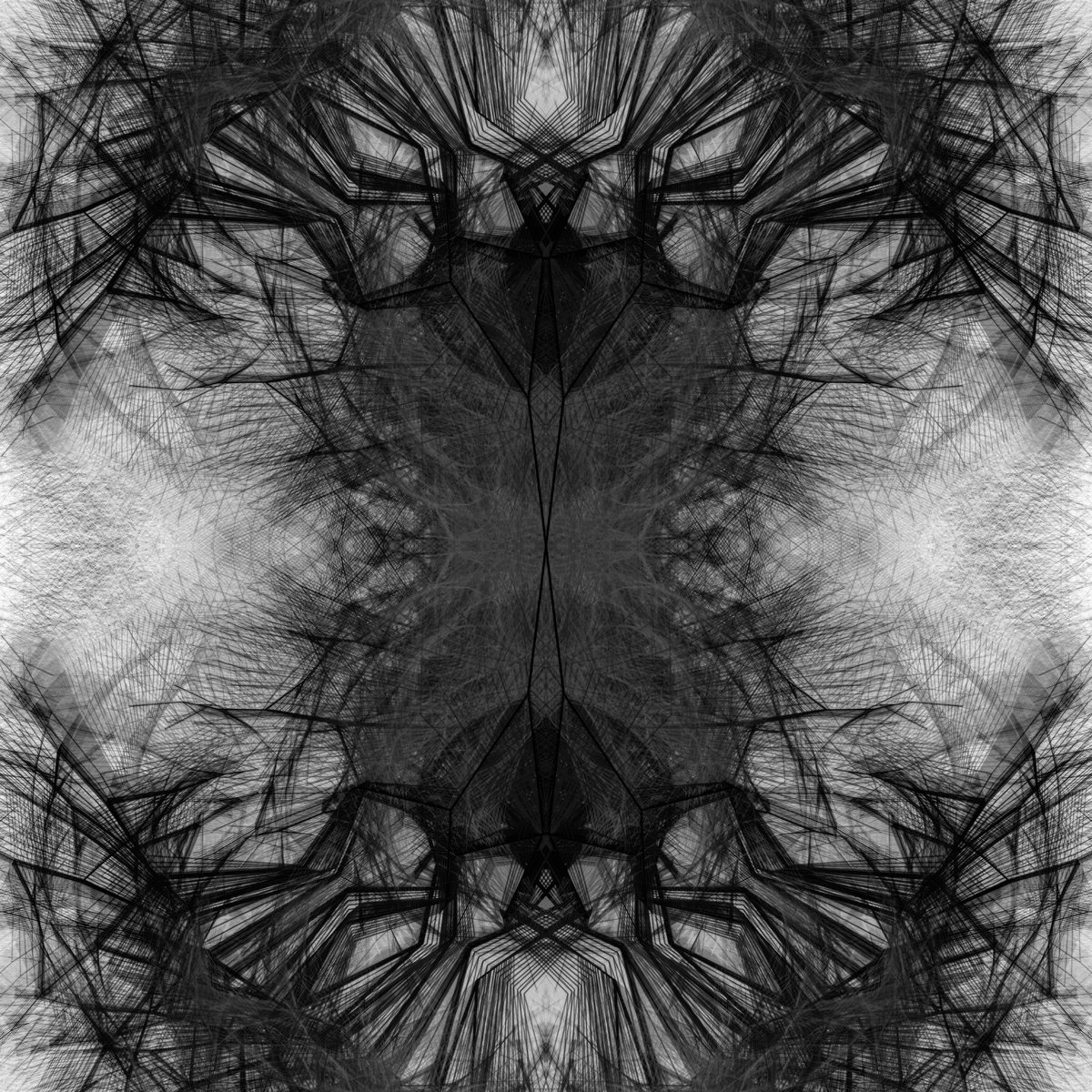 Wednesday night binary treexploration instagram.com/p/BB5_17_PUbt/ with <a href="/tomkrcha/">Tom Krcha</a>