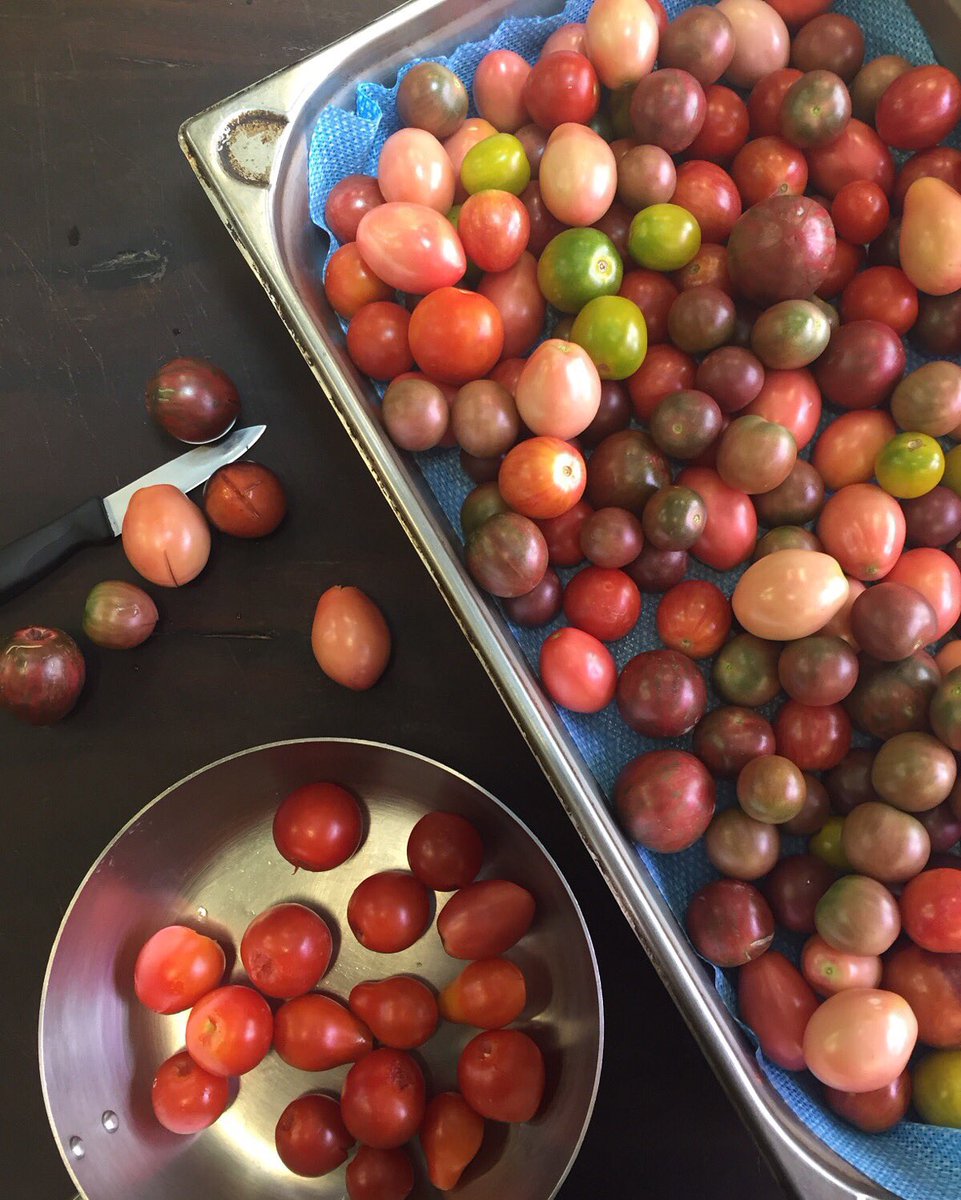 Heirloom tomatoes about to undergo a transformation...more in 24 hours!  #menudevelopment