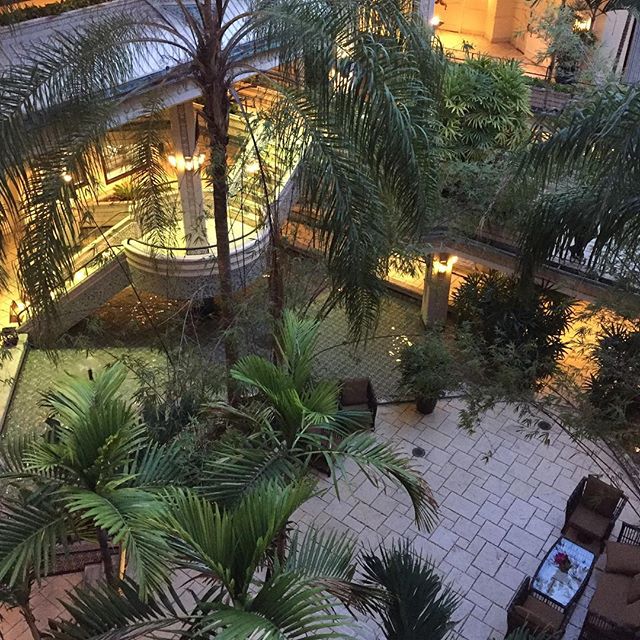 Mayfair_Miami's tweet photo. Simply enchanting. photo by @wow_its_jorge https://t.co/SKrV6AFIxC