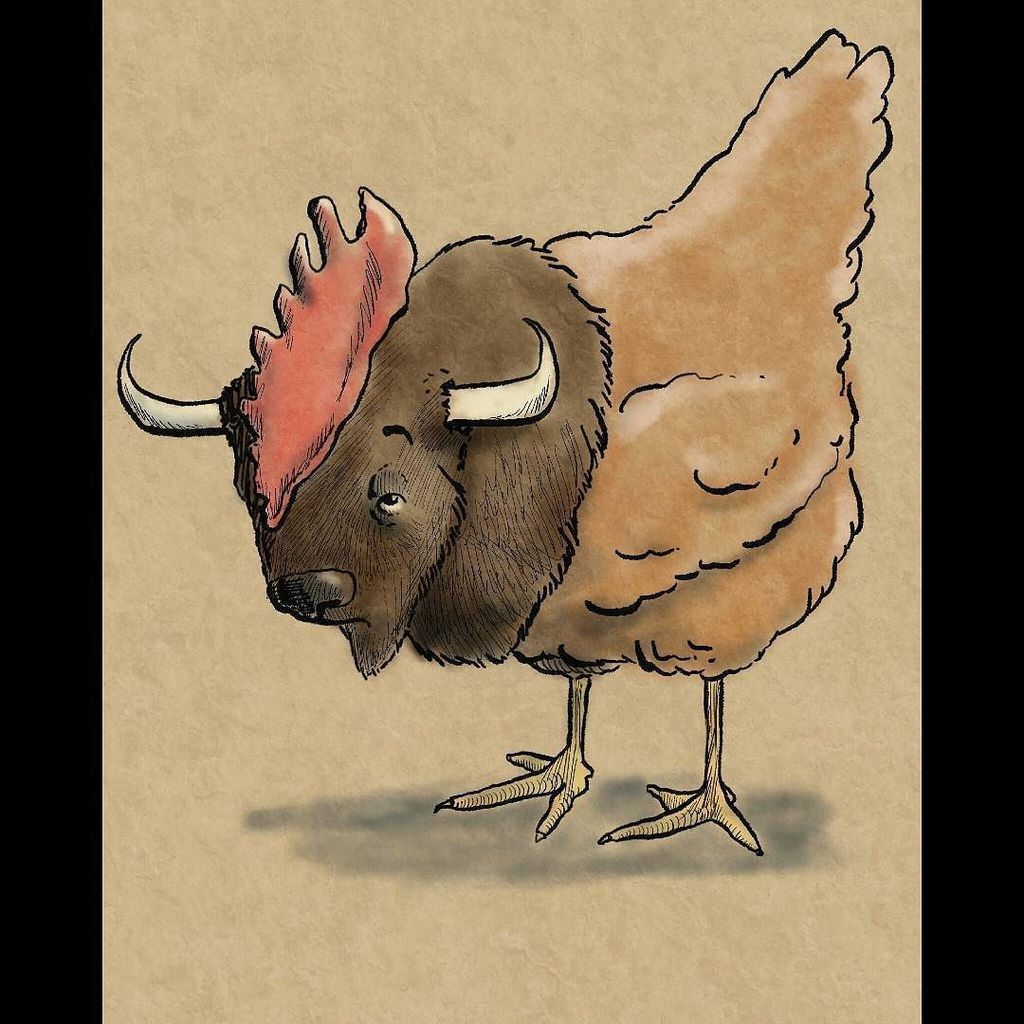 nok lukker Se tilbage Ky Betts on Twitter: "Buffalo chicken... #cartoon #character #sketch # animals #animaldrawing #draw #drawing #dai… https://t.co/03zM2qM9az  https://t.co/UKfCnmifR6" / Twitter