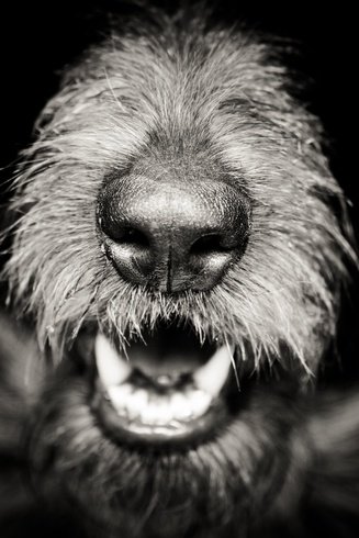 GridJungle's tweet photo. Love helping the senior fur kids!
https://t.co/oLGXuSxwmL https://t.co/mVfo5QhK7R