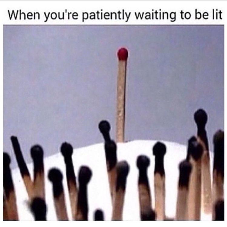 LearyMozell's tweet image. 